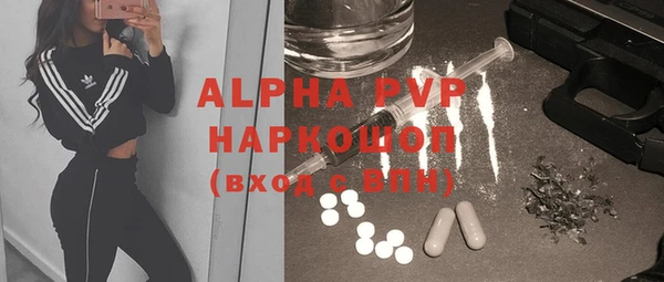 сатива Горнозаводск