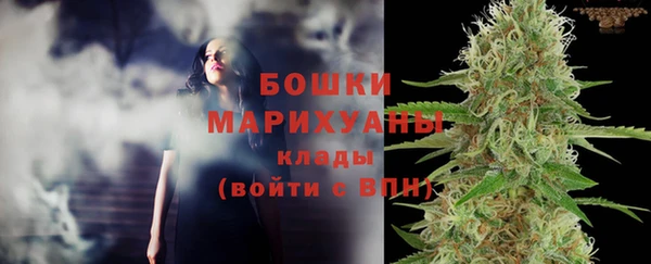 сатива Горнозаводск