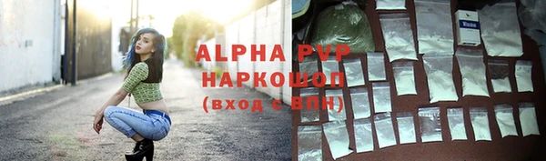 прущие крисы Горняк