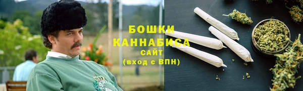 прущие крисы Горняк