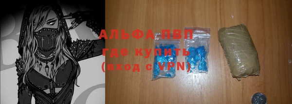 прущие крисы Горняк