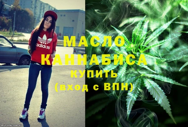 твердый Гусев
