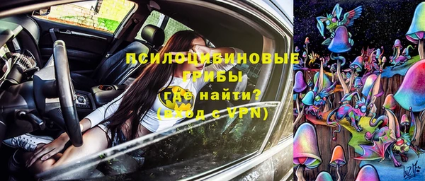 прущие крисы Горняк