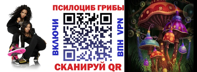 Псилоцибиновые грибы Psilocybe  Обнинск 